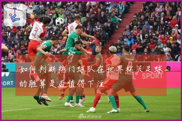如何判断热门球队在世界杯买足球的胜算是否值得下注