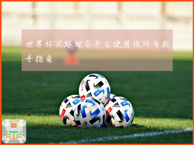 世界杯买球综合平台使用技巧与新手指南
