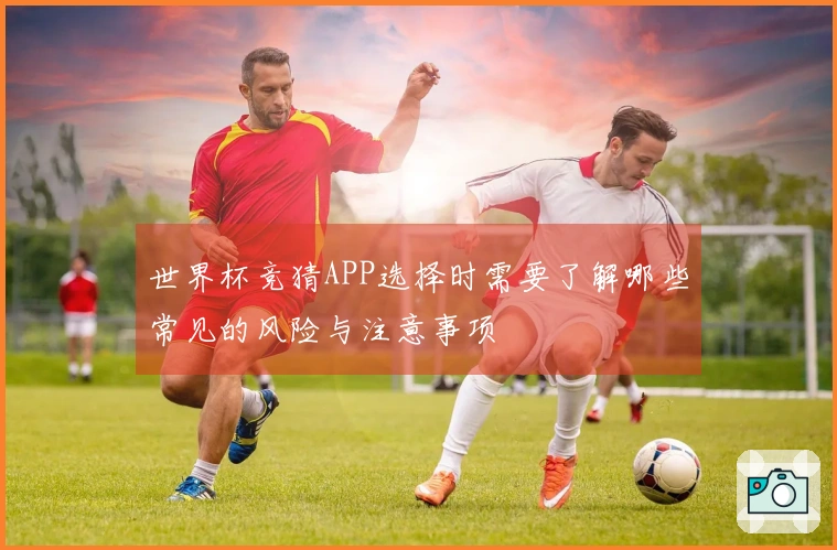 世界杯竞猜APP选择时需要了解哪些常见的风险与注意事项