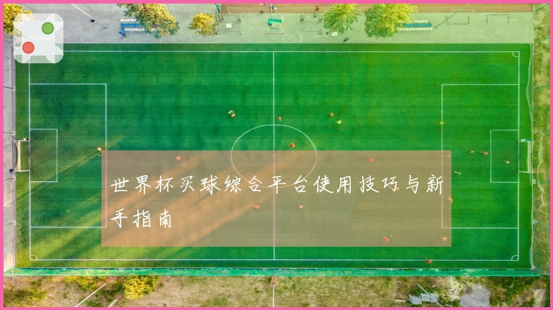 世界杯买球综合平台使用技巧与新手指南