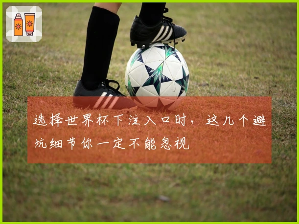 选择世界杯下注入口时，这几个避坑细节你一定不能忽视