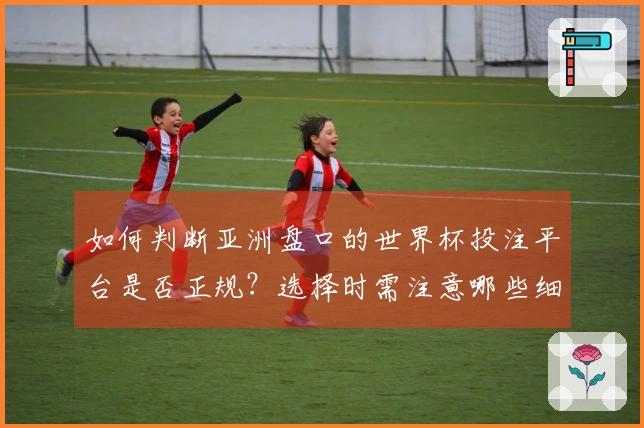 如何判断亚洲盘口的世界杯投注平台是否正规？选择时需注意哪些细节？
