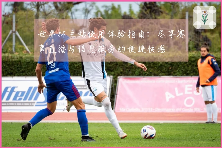 世界杯主站使用体验指南：尽享赛事直播与信息服务的便捷快感