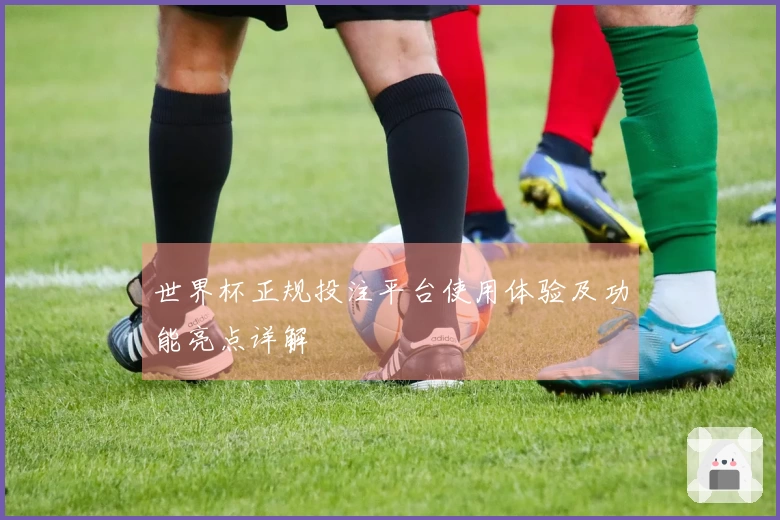 世界杯正规投注平台使用体验及功能亮点详解