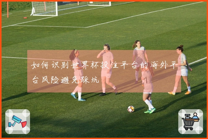 如何识别世界杯投注平台的海外平台风险避免踩坑