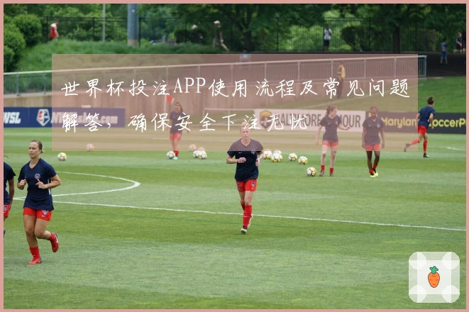 世界杯投注APP使用流程及常见问题解答，确保安全下注无忧