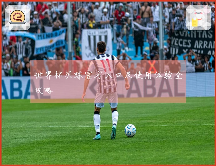 世界杯买球官方入口及使用体验全攻略