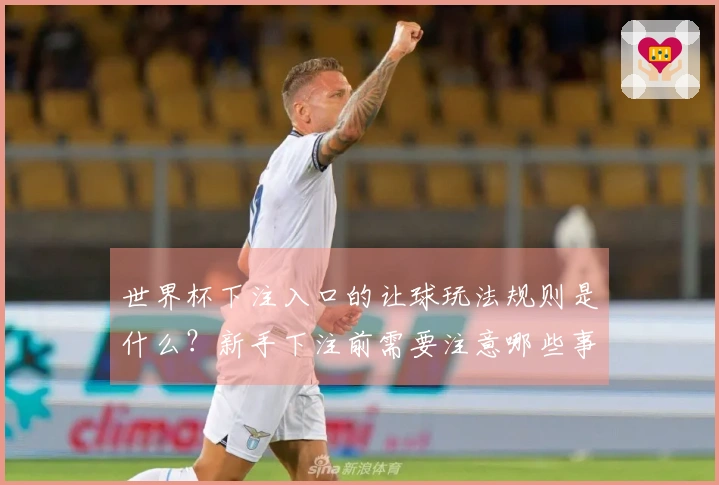 世界杯下注入口的让球玩法规则是什么？新手下注前需要注意哪些事项？