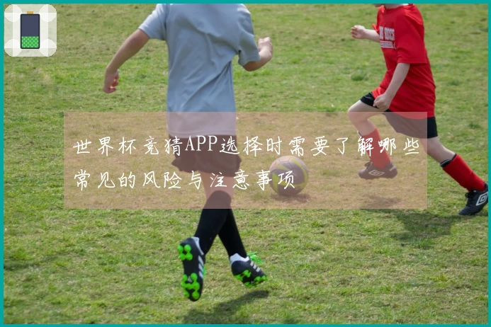 世界杯竞猜APP选择时需要了解哪些常见的风险与注意事项