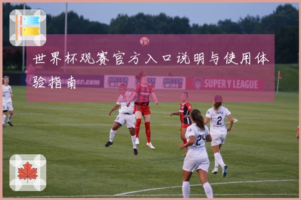 世界杯观赛官方入口说明与使用体验指南