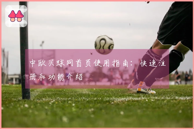 中欧买球网首页使用指南：快速注册和功能介绍
