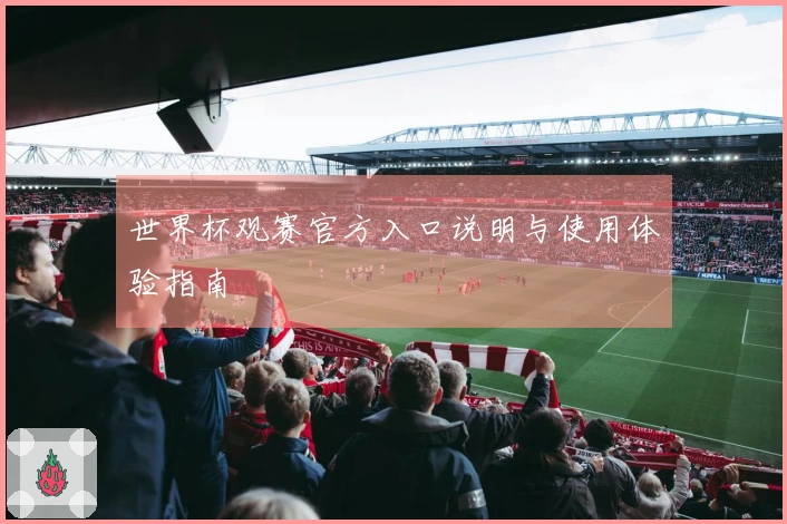 世界杯观赛官方入口说明与使用体验指南