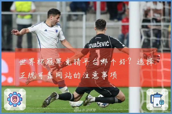 世界杯冠军竞猜平台哪个好？选择正规可靠网站的注意事项