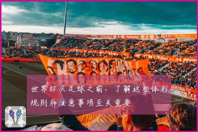 世界杯买足球之前，了解这些体彩规则和注意事项至关重要