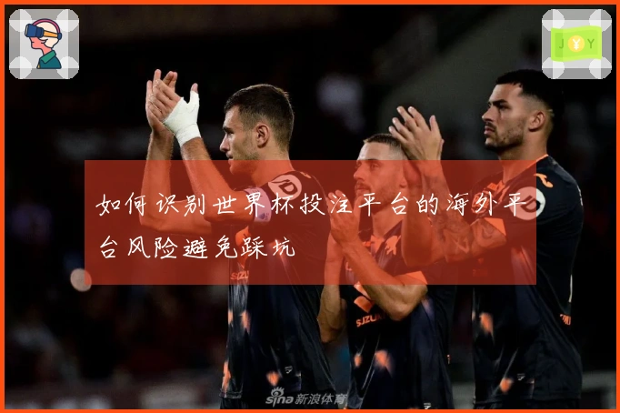 如何识别世界杯投注平台的海外平台风险避免踩坑