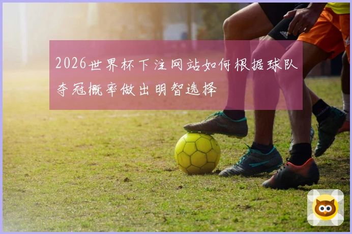 2026世界杯下注网站如何根据球队夺冠概率做出明智选择