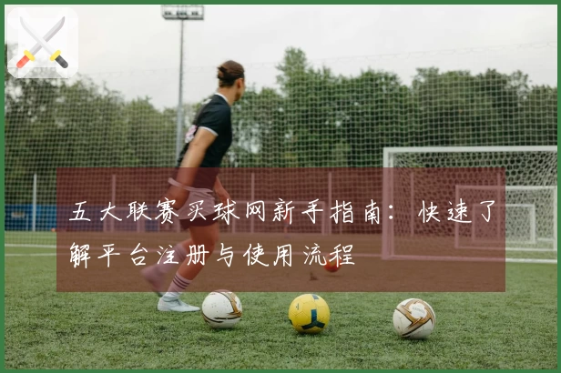 五大联赛买球网新手指南：快速了解平台注册与使用流程